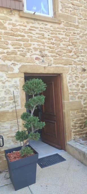 Le Gite Des Pierres Dorees Marcilly-d'Azergues Εξωτερικό φωτογραφία