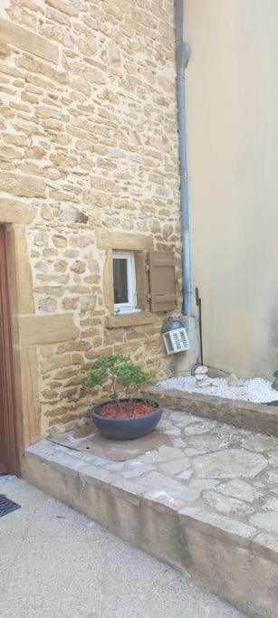 Le Gite Des Pierres Dorees Marcilly-d'Azergues Εξωτερικό φωτογραφία